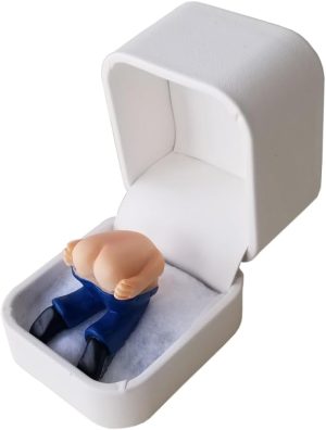 Farting Prank Gag Gift Box for Anniversaries, Birthdays, and Holidays - Novelty Sound Box for Adults and Teens